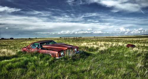 Lost wheels: дивовижний світ покинутих автомобілів у знімках Дітера Кляйна
