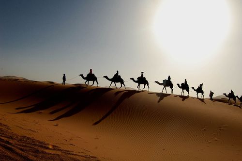Сахара: 20 фото та фактів про найсухішу пустелю світу