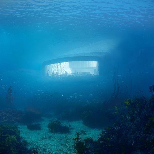 Under — ресторан под водой от бюро Snøhetta