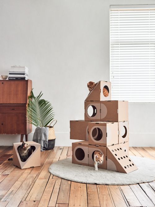 Cat thing – модульные апартаменты для усатых любителей коробок