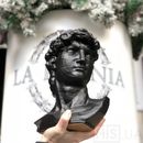 Арт-вазон «Голова Давида» - фото 15 Арт-вазон «Голова Давида» - фото 15