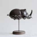 Жук носоріг - фото 2